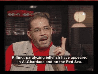 Zionist jellyfish