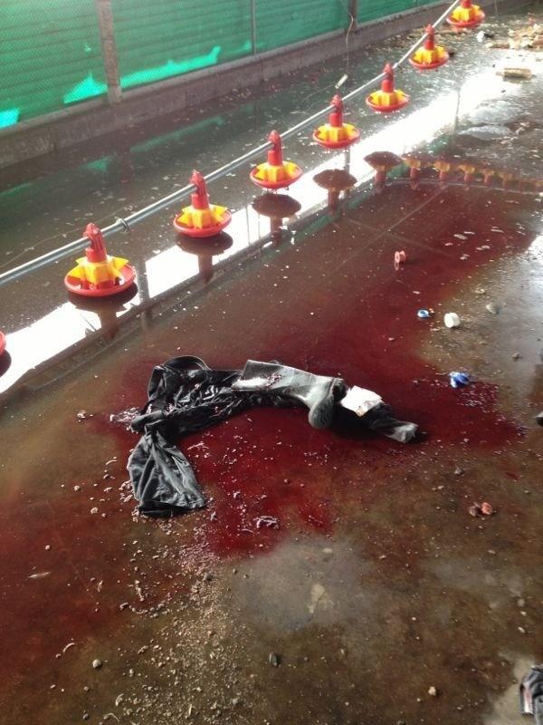 gaza_attack
