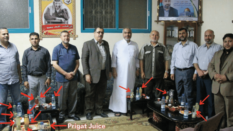hamas cogat