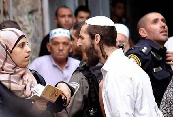 www.israellycool.com
