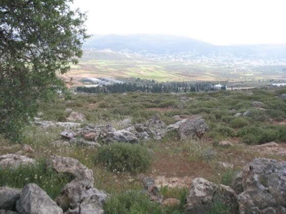 judea-and-samaria