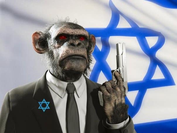 monkey israel