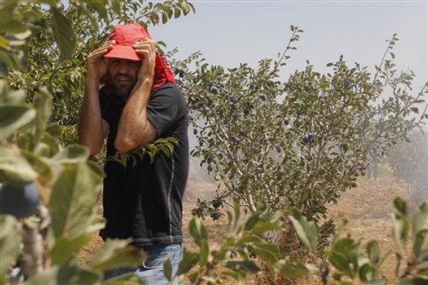 Palestinian man react Palestinian man react