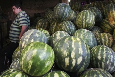 palestinian watermelon