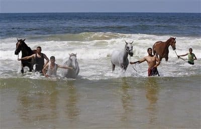 Palestinians in Gaza with horses - AP