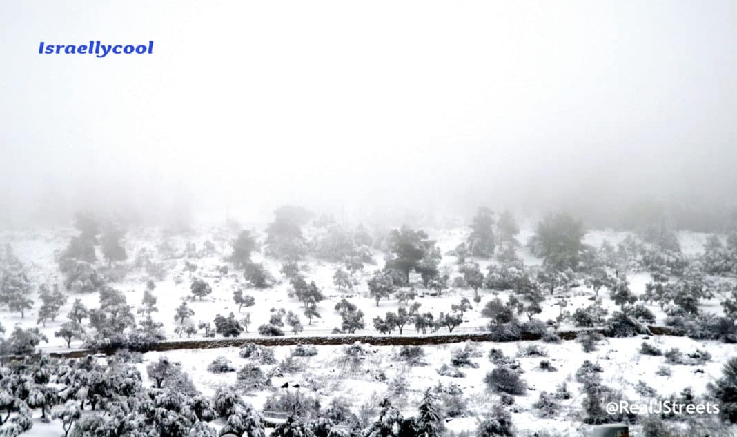 image valley of cross in snow and fog