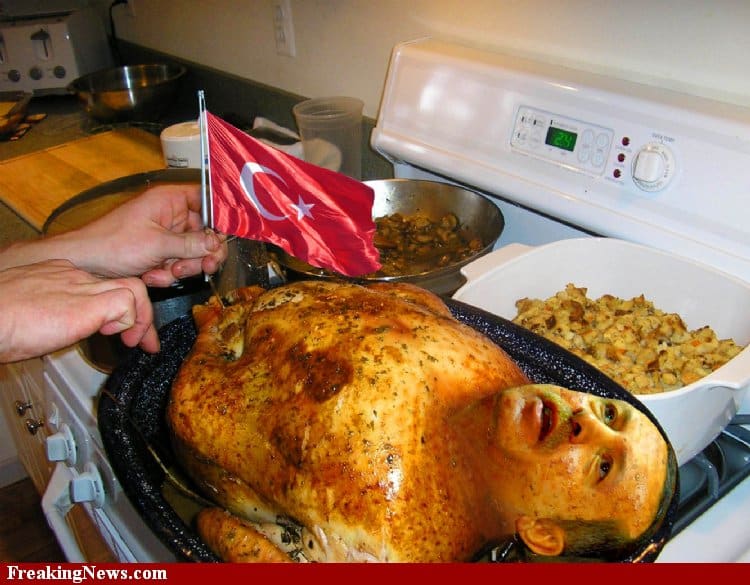 stuffed turkey erdogan