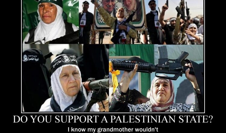 terrorist grandmas poster