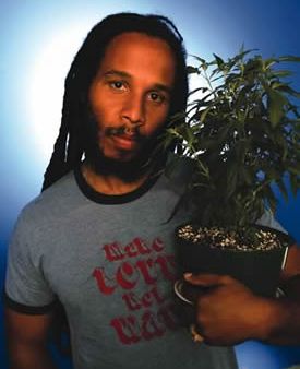 ziggy marley